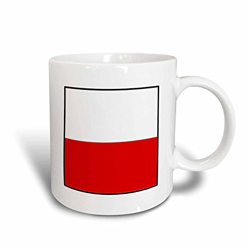 3dRose mug_98474_3 Photo of Poland Flag Button Magic Transforming Mug, 11-Ounce