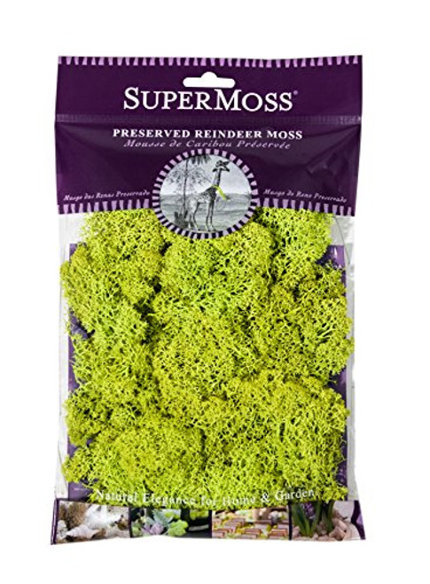 SuperMoss (21708) Reindeer Moss Preserved, Chartreuse, 2oz