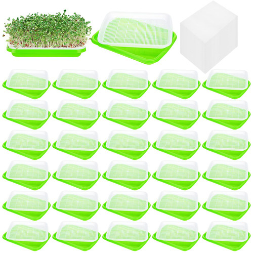 32 Packs Seed Sprouter Tray Nursery Tray Microgreens Growing Trays Wheatgrass Growing Kit Germination Tray with Drainage Holes and 60 Sheets Germinating Paper Wheatgrass Seeds Grower for Home Office