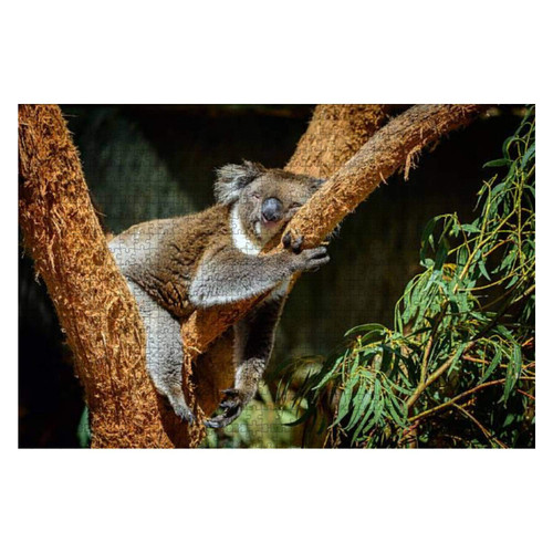 Wooden Puzzle 1000 Pieces Sleeping Koala Bear in The Wood Stock Pictures Royalty Free Photos Jigsaw Puzzles for Children or Adults Educational Toys Decompression Game