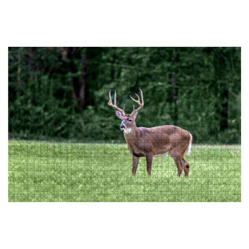 Wooden Puzzle 1000 Pieces White Tailed Buck in Field with Copy Space Jigsaw Puzzles for Children or Adults Educational Toys Decompression Game