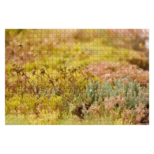 Wooden Puzzle 1000 Pieces Backgrounds of Blossoms Grass and Moss with Copy Space Photographed in Jigsaw Puzzles for Children or Adults Educational Toys Decompression Game Wooden Puzzle 1000 Pieces Backgrounds of Blossoms Grass and Moss with Copy Space Photographed in Jigsaw Puzzles for Children or Adults Educational Toys Decompression Game