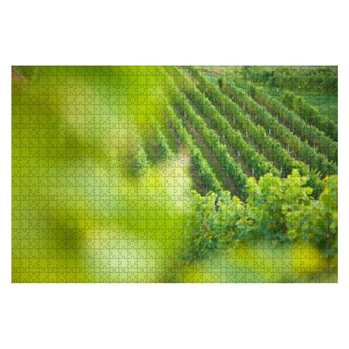 Wooden Puzzle 1000 Pieces Big Vineyard with Copy Space Jigsaw Puzzles for Children or Adults Educational Toys Decompression Game Wooden Puzzle 1000 Pieces Big Vineyard with Copy Space Jigsaw Puzzles for Children or Adults Educational Toys Decompression Game