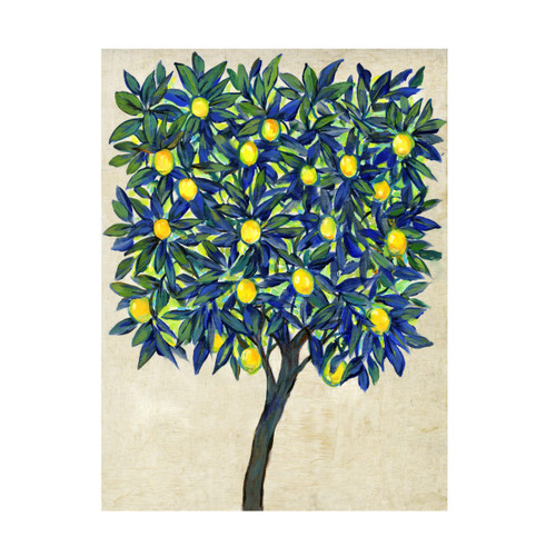 Trademark Fine Art 'Lemon Tree Composition II' Canvas Art by Tim OToole 14x19