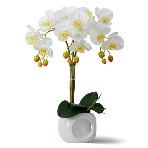 Ziwon Artificial Orchid Flowers Potted in Ceramic Pot, Purple Faux Phalaenopsis Orchids for Table Centerpiece, Realistic Fake Flower in vase for Home Office Decor Indoor Ziwon Artificial Orchid Flowers Potted in Ceramic Pot, Purple Faux Phalaenopsis Orchids for Table Centerpiece, Realistic Fake Flower in vase for Home Office Decor Indoor