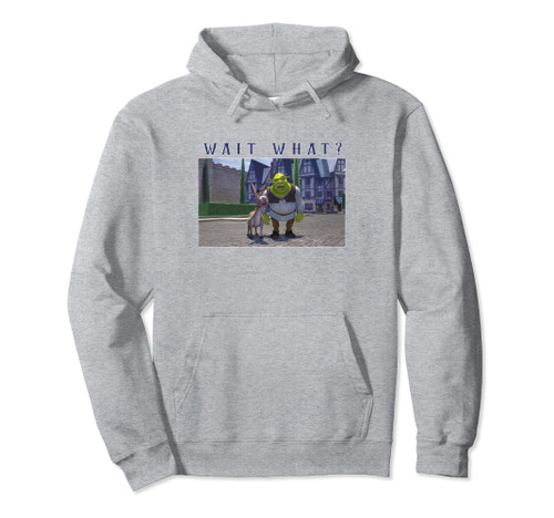 Shrek & Donkey Wait What Pullover Hoodie