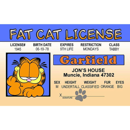 Signs 4 Fun NGID Garfield's Driver's License - Made in The USA