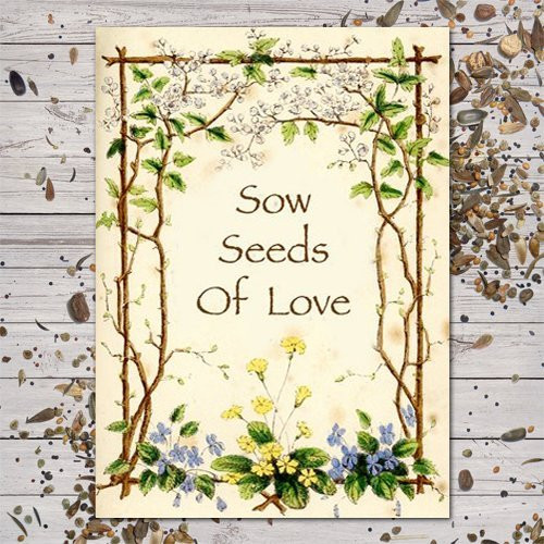 Set of 25 Butterfly Garden Seed Packet Favors (F03) "Sow Seeds of Love"