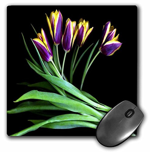 3dRose LLC 8 x 8 x 0.25 Inches Mouse Pad, Purple and Yellow Tulip Bouquet on Black (mp_62540_1) 3dRose LLC 8 x 8 x 0.25 Inches Mouse Pad, Purple and Yellow Tulip Bouquet on Black (mp_62540_1)