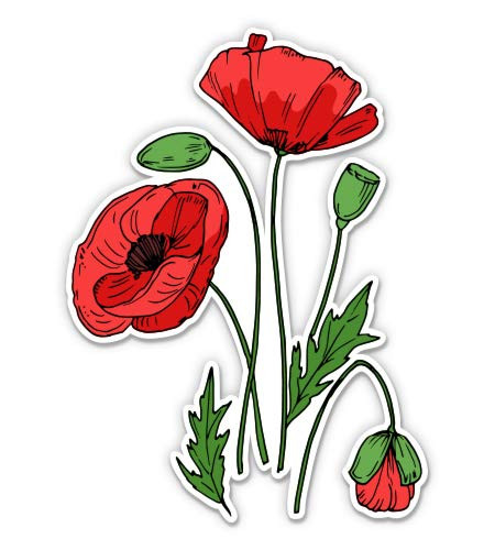 Poppies Drawing Red Field Flowers - 3" Vinyl Sticker - for Car Laptop I-Pad Phone Helmet Hard Hat - Waterproof Decal