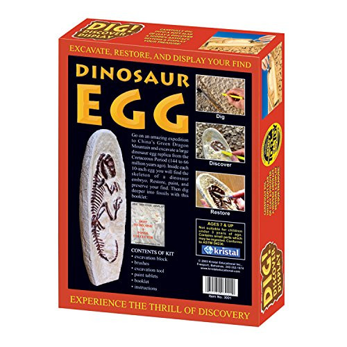 Dig! Discover Dinosaur Egg