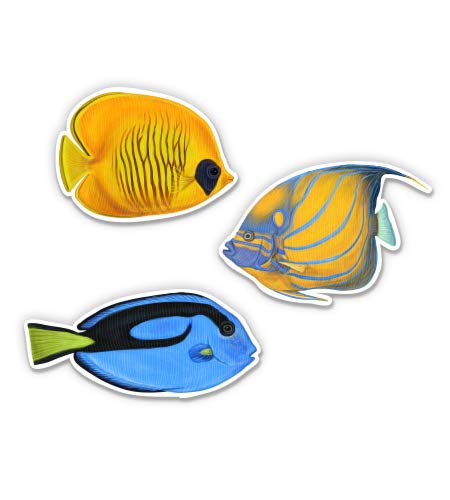 Pretty Tropical Fish Set of 3-3" Each Vinyl Stickers - for Car Laptop I-Pad - Waterproof Decals