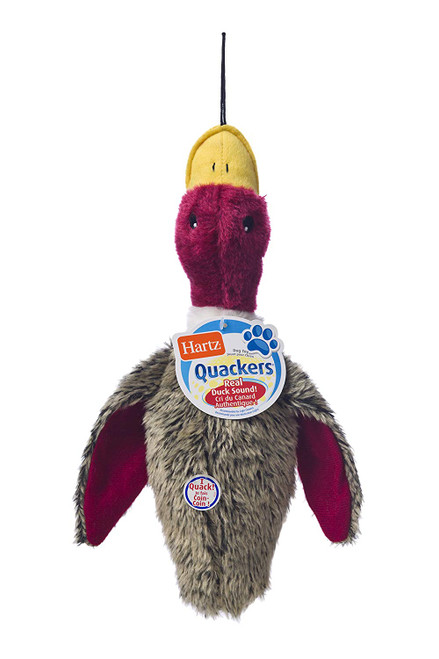 Hartz Quackers Plush Duck Dog Toy (Colors/Styles Vary)