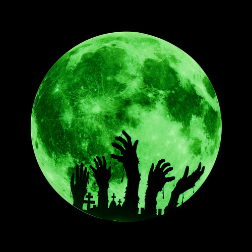 Zeelina Glow in The Dark Wall or Ceiling Moon Stickers Glow Wall Decals Luminous Halloween Stickers Decorations for Wall Door Windows (30cm) (D)
