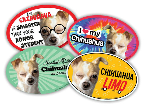 Prismatix Decal 4 Dog/Cat Oval Magnets for Cars, Lockers, Refrigerators, Chihuahua (Apple)
