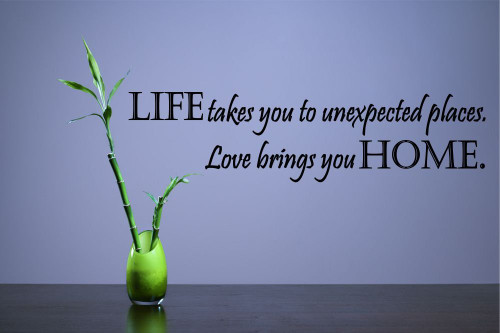 Life Takes You to Unexpected Places Love Brings You Home Vinyl Wall Decals Quotes Sayings Words Art Decor Lettering Vinyl Wall Art Inspirational Uplifting