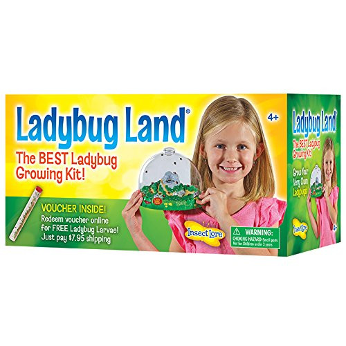 Insect Lore Ladybug Growing Kit - With Voucher to Redeem Baby Ladybug Larvae Later