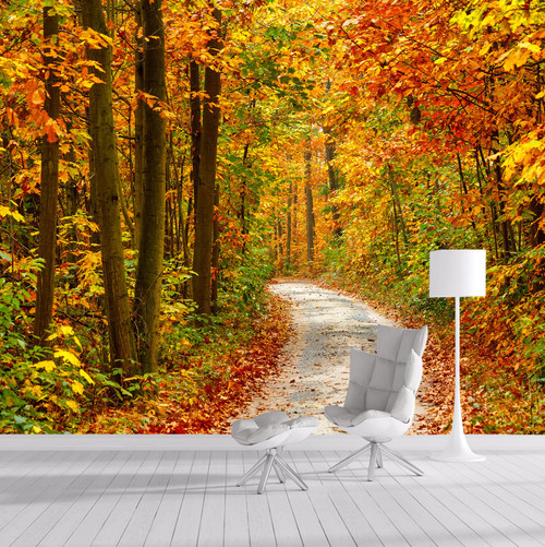 Custom Size Wall Murals?Removable Peel and Stick Self-Adhesive Wall Murals Large Photo Wallpaper,Autumn Forest Trail Scenery for Living Room Bedroom