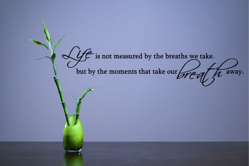 Life is not Measured by The Breaths we take but by The Moments That take Our Breath Away Vinyl Wall Decals Quotes Sayings Words Art Decor Lettering Vinyl Wall Art Inspirational Uplifting Life is not Measured by The Breaths we take but by The Moments That take Our Breath Away Vinyl Wall Decals Quotes Sayings Words Art Decor Lettering Vinyl Wall Art Inspirational Uplifting