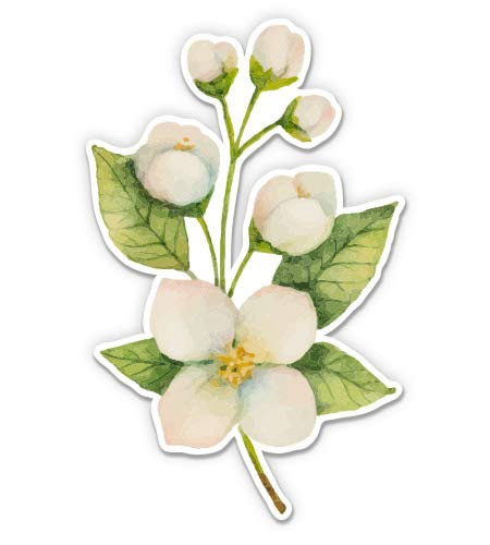 GT Graphics Jasmine Flowers - 8" Vinyl Sticker - for Car Laptop I-Pad - Waterproof Decal