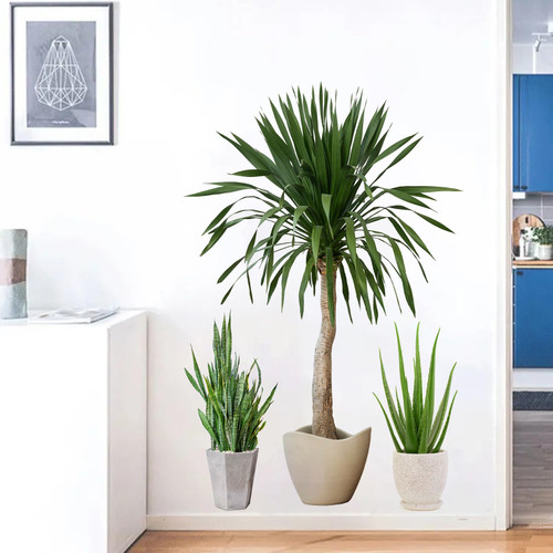 3Pc Green Plants Wall Sticker,Self-Adhesive Potted Leaf Decals for Home, Bedroom, and Living Room Decor (A)