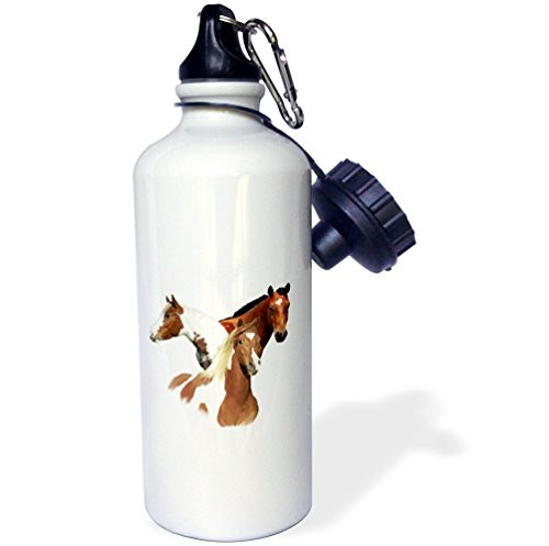 3dRose wb_4584_1 Horses Sports Water Bottle, 21 oz, White