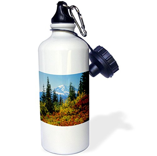 3dRose wb_189823_1 Usa, Washington, Mt Rainier Np, Mt Rainier Above Huckleberries Sports Water Bottle, Multicolor, 21 oz