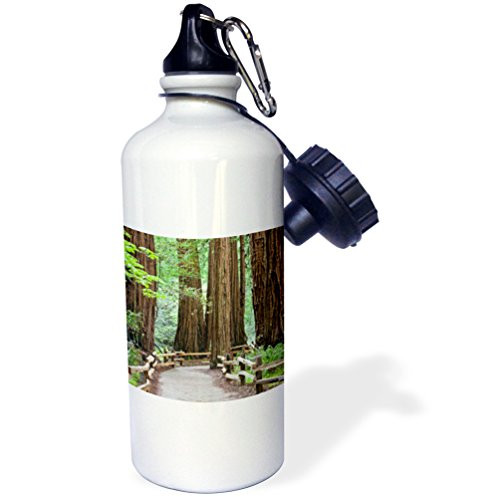 3dRose wb_190995_1 USA, California. Trail through Muir Woods NM in springtime. - Sports Water Bottle, 21oz