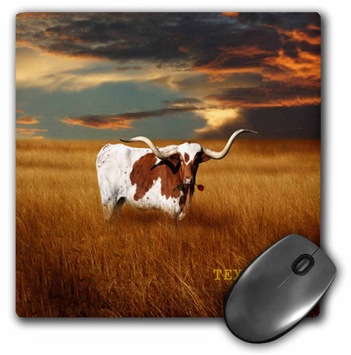 3dRose LLC 8 x 8 x 0.25 Inches Mouse Pad, a Texas Longhorn (mp_62229_1) 3dRose LLC 8 x 8 x 0.25 Inches Mouse Pad, a Texas Longhorn (mp_62229_1)