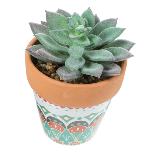 IMIKEYA Simulation Succulent Potted Plant Fake Plant Decor Plant Bonsai Household Fake Bonsai Fake Succulent Bonsai Realistic Bonsai Variety Succulent Plants Desk Ornaments Office IMIKEYA Simulation Succulent Potted Plant Fake Plant Decor Plant Bonsai Household Fake Bonsai Fake Succulent Bonsai Realistic Bonsai Variety Succulent Plants Desk Ornaments Office