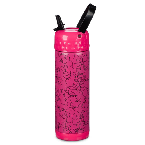 Disney Mickey and Minnie Mouse Stainless Steel Water Bottle with Built-In Straw