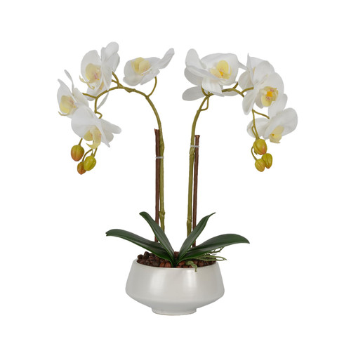 W&W Artificial Orchid Plants & Flowers Arrangement in Ceramic Pot, Fake Faux White Orchid with White Vase, Realistic Phalaenopsis Orchids for Home Decor Indoor W&W Artificial Orchid Plants & Flowers Arrangement in Ceramic Pot, Fake Faux White Orchid with White Vase, Realistic Phalaenopsis Orchids for Home Decor Indoor