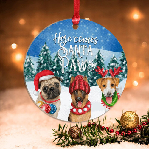 Swavecat Christmas Ornament Here Comes Santa Paw Decorative Hanging Ornaments Christmas Dog Family in Snow Christmas Tree Decoration Keepsake 3in Novelty Acrylic Ornaments Xmas Gift Swavecat Christmas Ornament Here Comes Santa Paw Decorative Hanging Ornaments Christmas Dog Family in Snow Christmas Tree Decoration Keepsake 3in Novelty Acrylic Ornaments Xmas Gift