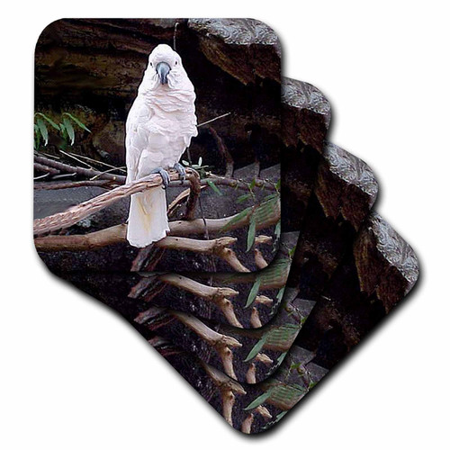 3dRose Moluccan Cockatoo - Soft Coasters, set of 4 , set-of-4-Soft, Varies