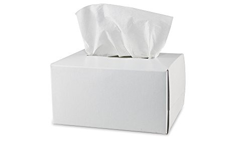 Pyramex Safety Products LT300 Lens Cleaning Tissues, Package of 300