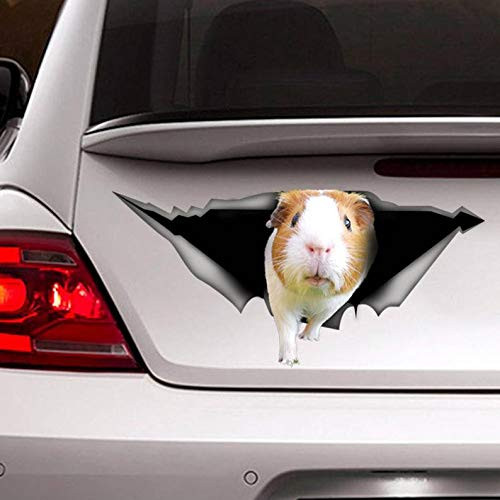 Guinea Pig Sticker, Guinea Pig car Decal, pet Decal, Animal Decal Vinyl Decal Sticker for Cars, Trucks, Windows, Walls, Laptops 11"