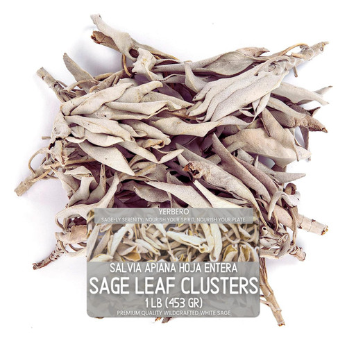 Yerbero - Premium White Sage Cluster Incense 1 LB (453g) | Hoja De Salvia Blanca Entera | Salvia officinalis | Sanctification, Purification, Restoration, Metaphysical, Mindfulness, Wicca.