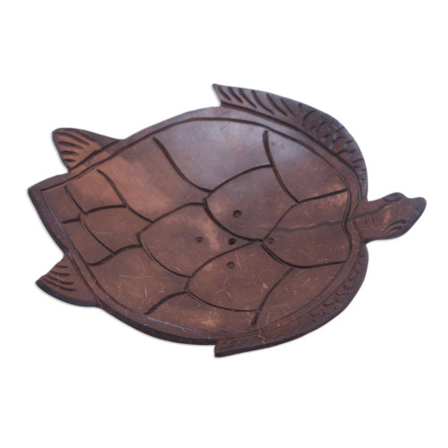 NOVICA Handmade Coconut Shell Soap Dish Artisan Carved Turtlethemed Holder from Bali Brown Indonesia Decor Accessories Bathroom and Vanity Animal Sea Lifeturtle [1.2in H x 5in W x 4.3in D] 'Spotless
