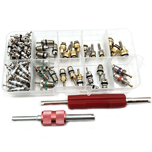 Nikauto 100Pcs Automotive Air Conditioning Part Valve Core and 2Pcs Car A/C Valve Core Remover Tool