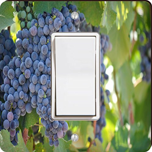 Rikki Knight Red Wine Grapes on The Vine Single Rocker Light Switch Plate