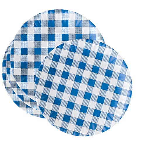 What Is It?" Reusable Blue & White Gingham Checkered Picnic/Dinner Plate, 9 Inch Melamine, Set of 4