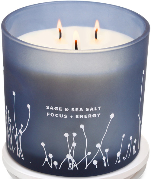 White Sage Sea Salt 3 Wick Candle 14.5 oz | Sage Candles for Cleansing House | Large Soy Candles for Home Scented | Aromatherapy Energy Cleansing Sage Scented Candles for Women & Men White Sage Sea Salt 3 Wick Candle 14.5 oz | Sage Candles for Cleansing House | Large Soy Candles for Home Scented | Aromatherapy Energy Cleansing Sage Scented Candles for Women & Men