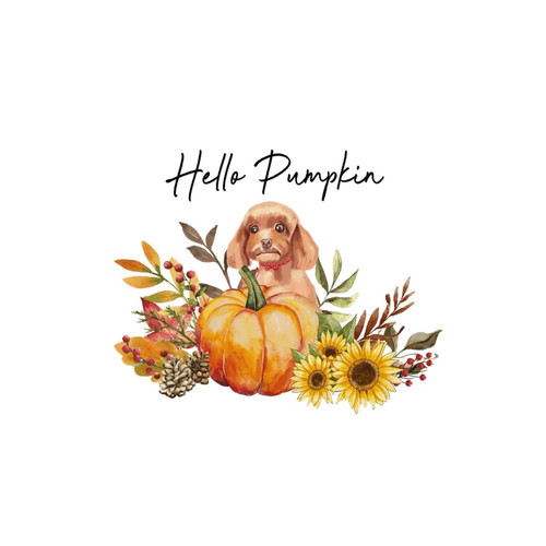 Hello Pumpkin Nursery Wall Decoration Wall Decals Stickers Fall Harvest Farm Colorful Removable Wall Stickers for Teen Room Kids Room Car Furniture Vinyl Hello Pumpkin Nursery Wall Decoration Wall Decals Stickers Fall Harvest Farm Colorful Removable Wall Stickers for Teen Room Kids Room Car Furniture Vinyl