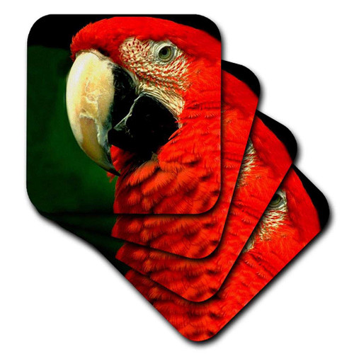 3dRose cst_685_2 Green-Winged Macaw-Soft Coasters, Set of 8