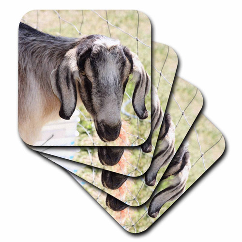 3dRose CST_43941_2 Farm Goat-Animals-Nature-Soft Coasters, Set of 8