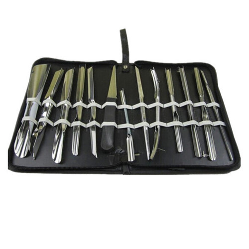 CHENGYIDA 13pcs Fruit/vegetable Garnishing/cutting/slicing Set Garnish Tool Set Culinary Carving Tool