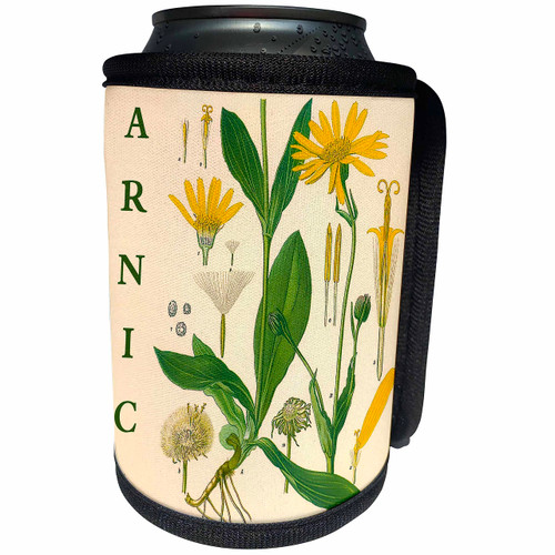 3dRose Arnica Flower Plant Parts Art Vintage Nature... - Can Cooler Bottle Wrap (cc-365435-1)