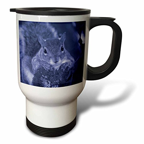 3dRose tm_178592_1" squirrel animal on log hanging out blue-" Travel Mug, 14 oz, Multicolor