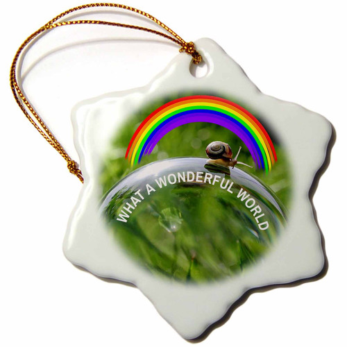 3dRose A Snail on a soap Bubble. Colorful Rainbow. What a Wonderful World - Ornaments (orn-320881-1)