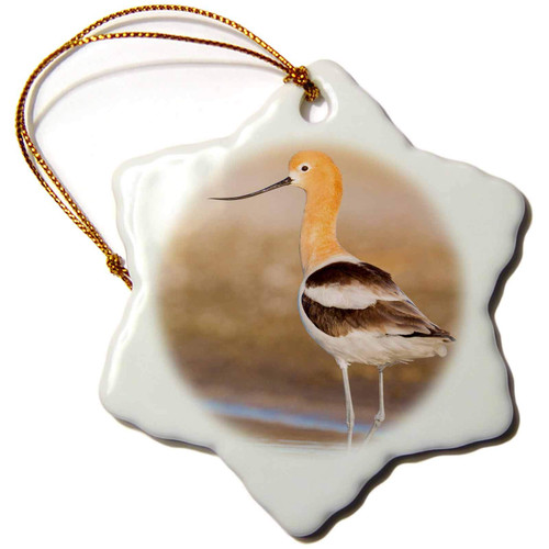 3dRose USA, Washington, American Avocet in Shallow Water of Soap Lake. - Ornaments (orn-205613-1)
